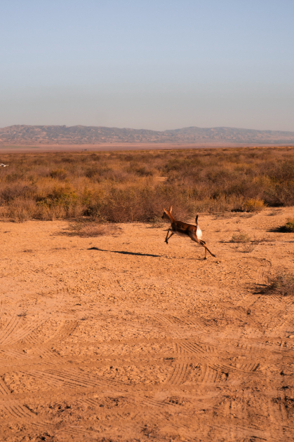 Leyla Aliyeva and Arzu Aliyeva attend inauguration of Akhar-Bakhar National Park in Gakh district (PHOTO)