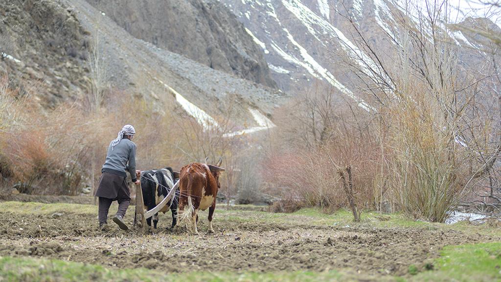 GCF allots funds for ADB's Glacial Melt Adaptation Program in Central Asia, S. Caucasus, Pakistan