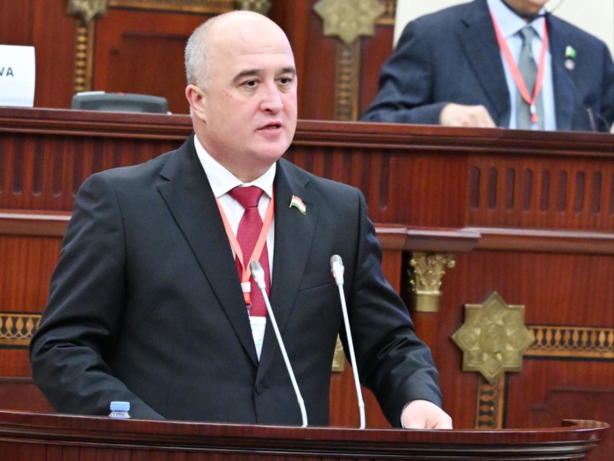 Azerbaijani constitution promotes stability and sustainable development - Tajik speaker