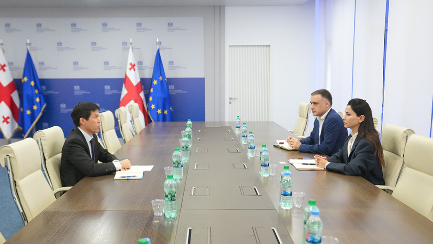 Georgia, IMF discuss reforms and growth prospects