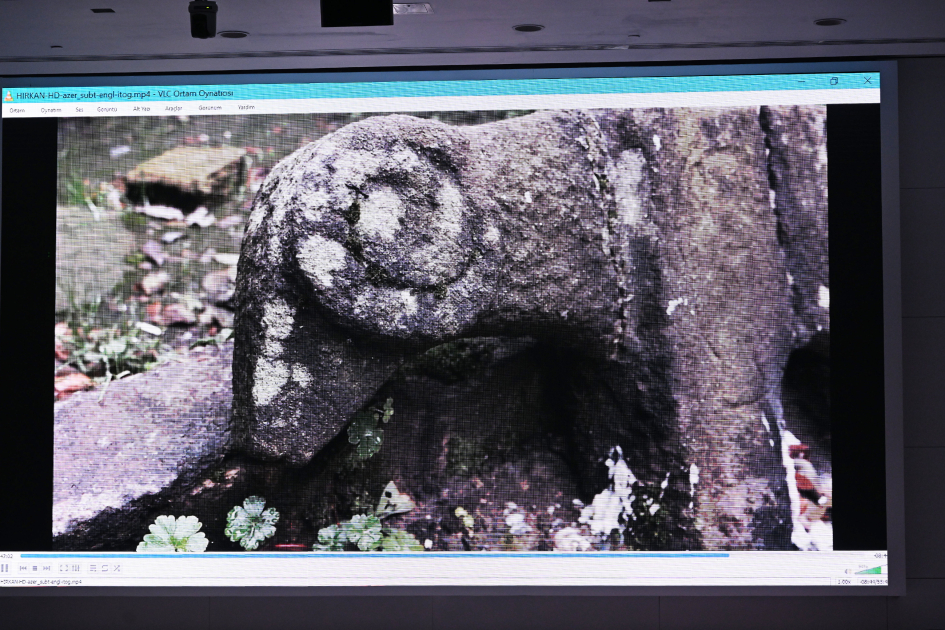 Leyla Aliyeva participates in presentation of "Hirkan" documentary (PHOTO)