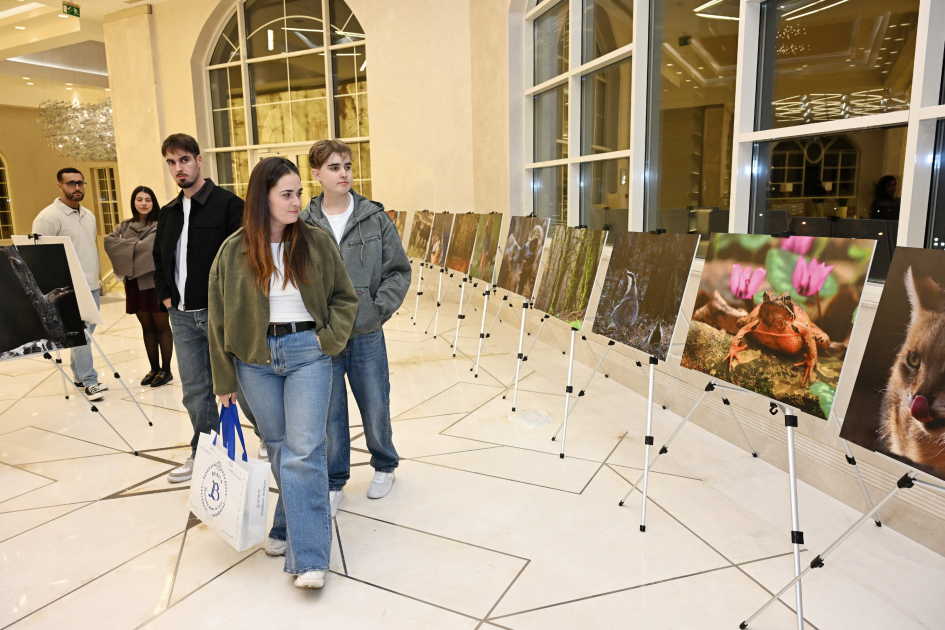 Leyla Aliyeva participates in presentation of "Hirkan" documentary (PHOTO)