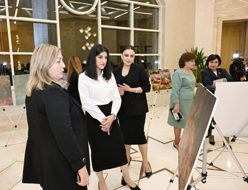 Leyla Aliyeva participates in presentation of "Hirkan" documentary (PHOTO)