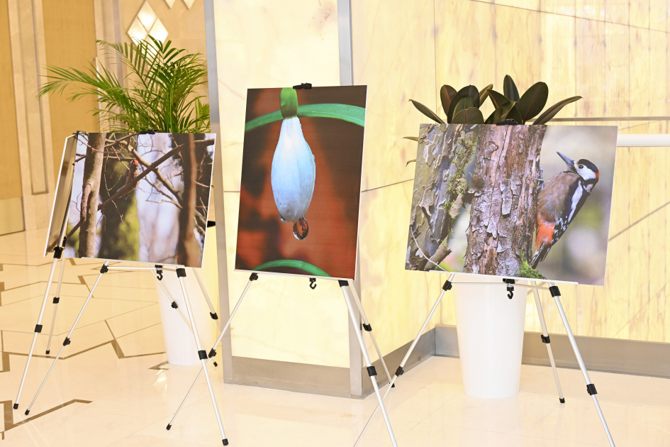 Leyla Aliyeva participates in presentation of "Hirkan" documentary (PHOTO)