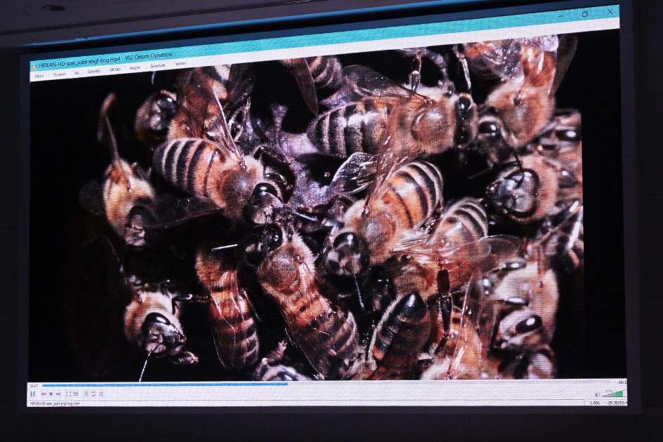 Leyla Aliyeva participates in presentation of "Hirkan" documentary (PHOTO)