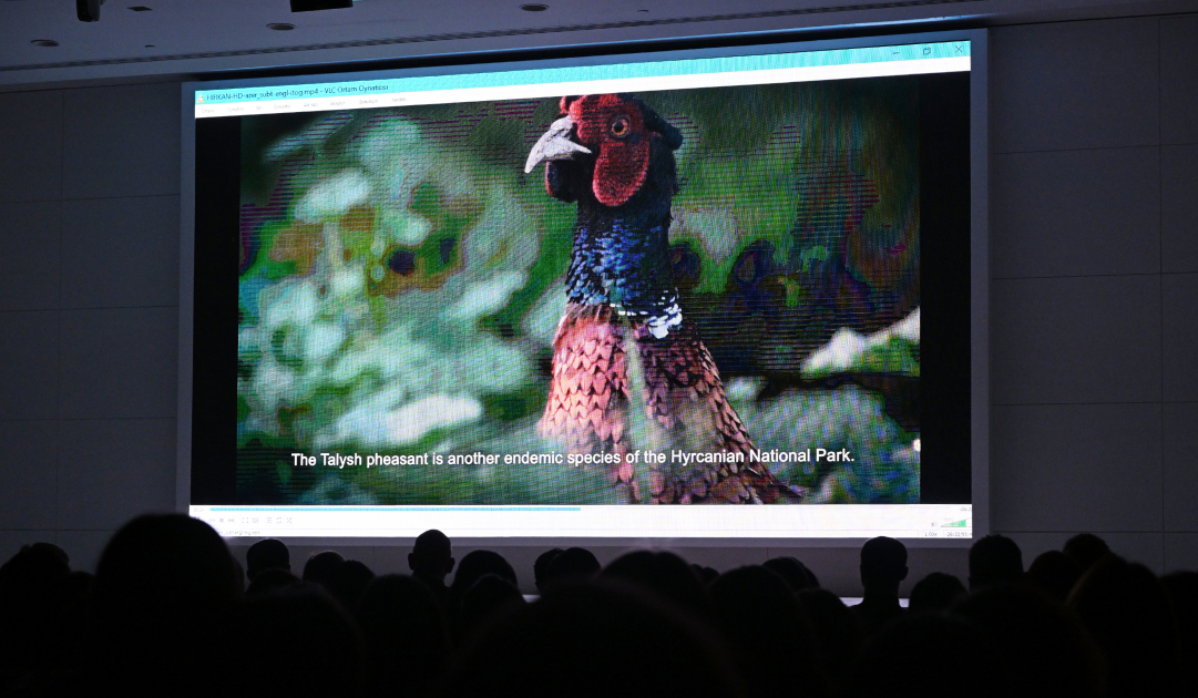 Leyla Aliyeva participates in presentation of "Hirkan" documentary (PHOTO)