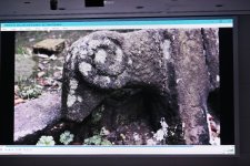 Leyla Aliyeva participates in presentation of "Hirkan" documentary (PHOTO)