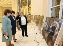Leyla Aliyeva participates in presentation of "Hirkan" documentary (PHOTO)