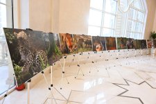 Leyla Aliyeva participates in presentation of "Hirkan" documentary (PHOTO)