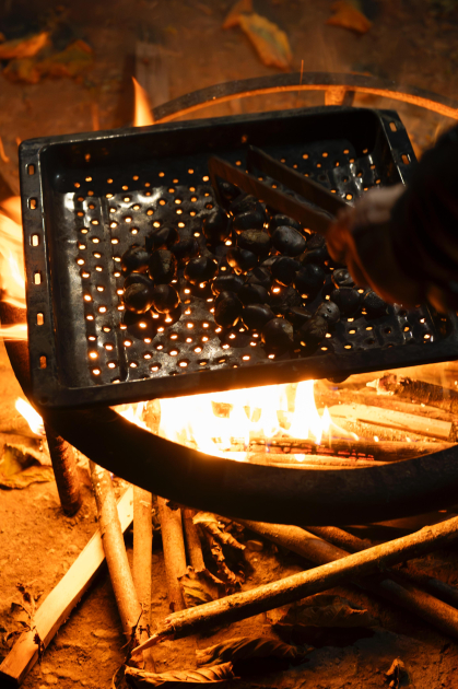 Heydar Aliyev Foundation VP Leyla Aliyeva visits participant of "Young Beekeeper" project in Gabala district (PHOTO)