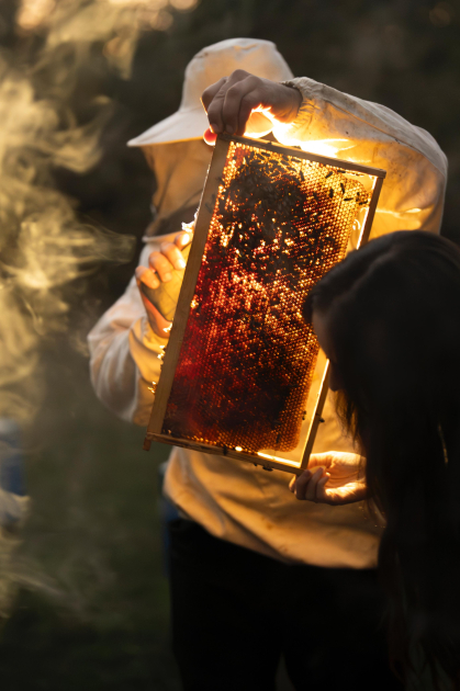 Heydar Aliyev Foundation VP Leyla Aliyeva visits participant of "Young Beekeeper" project in Gabala district (PHOTO)