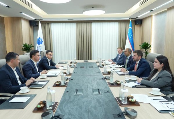 Uzbekistan, UK Export Finance discuss boosting investment in digital transformation