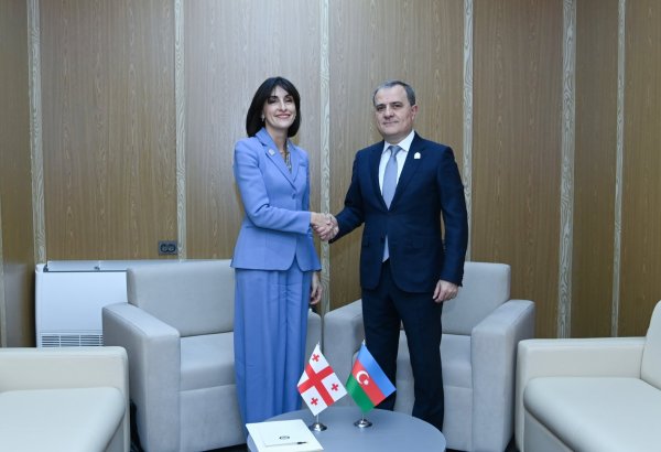 Azerbaijani and Georgian foreign ministers brainstorm bilateral cooperation (PHOTO)