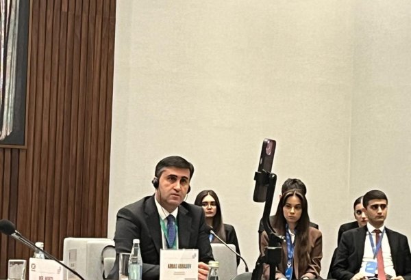 Baku Initiative Group raises awareness of Belgian colonialism-caused Central African pains