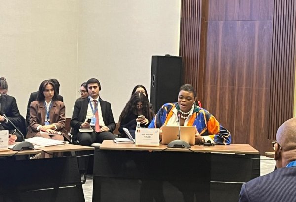 Congo still feeling sting of Belgium’s rubber exploitation, politician says