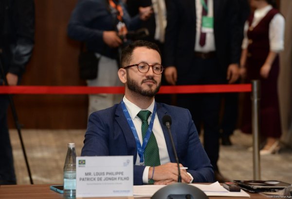 Brazilian researcher recalls Congo's colonial ruling under Belgian King Leopold I