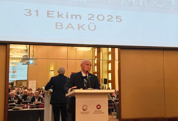 Azerbaijan's Alat Free Economic Zone set to roll out new solar panel production plants