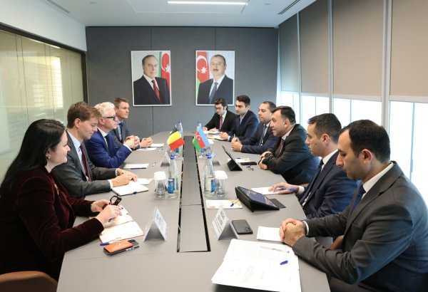 Azerbaijan calls on Belgian investors to jump on board for national projects