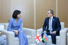 Azerbaijani and Georgian foreign ministers brainstorm bilateral cooperation (PHOTO)