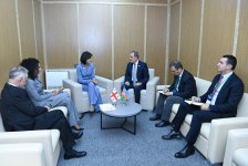 Azerbaijani and Georgian foreign ministers brainstorm bilateral cooperation (PHOTO)