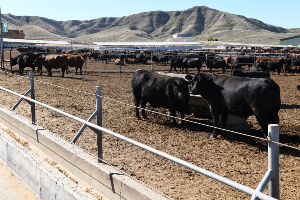 Ambassadors, heads of int'l entities view Azerbaijan's Hakari train station (PHOTO/VIDEO)