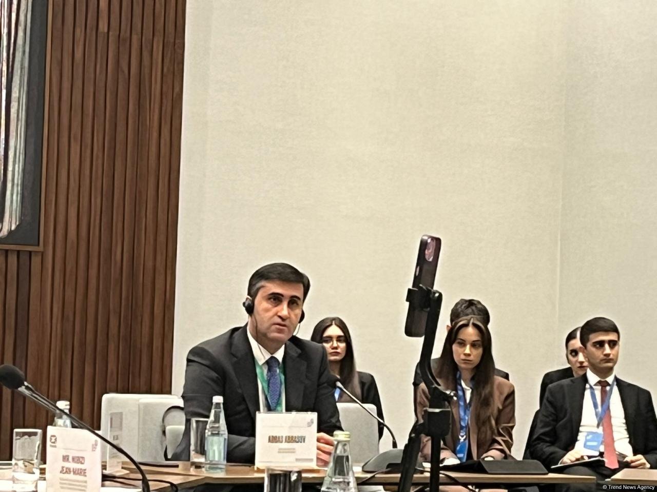 Baku Initiative Group raises awareness of Belgian colonialism-caused Central African pains