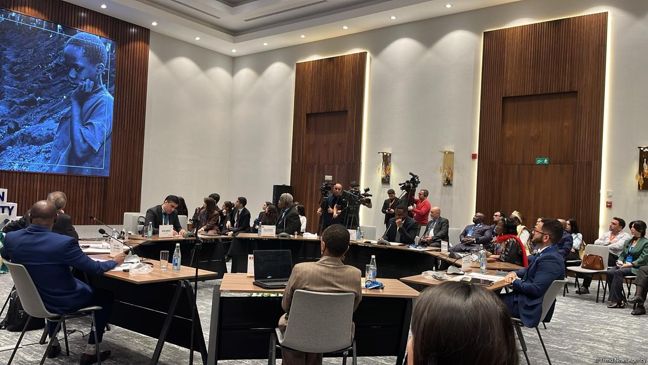 Azerbaijan's Baku hosts int'l conference on Belgian colonialism