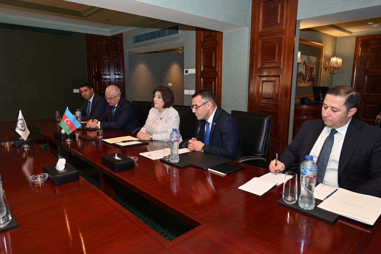 Azerbaijani parliament speaker meets with President of Arab Parliament (PHOTO)