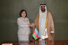 Azerbaijani parliament speaker meets with President of Arab Parliament (PHOTO)