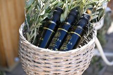 Olive Festival continues in Icherisheher (PHOTO)