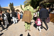 Olive Festival continues in Icherisheher (PHOTO)