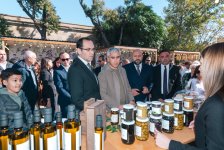 Olive Festival continues in Icherisheher (PHOTO)