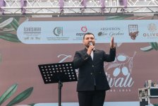 Olive Festival continues in Icherisheher (PHOTO)