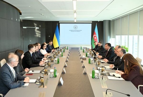 Azerbaijan, Ukraine explore deeper cooperation in healthcare industry