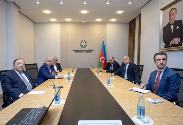 Azerbaijan teams up with Turkish company on green energy projects