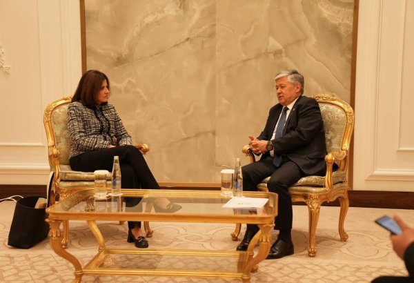 Uzbekistan, Andorra explore new horizons in political and economic cooperation