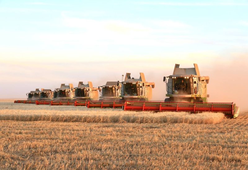Kazakhstan's grain exports rise in September 2025–June 2026