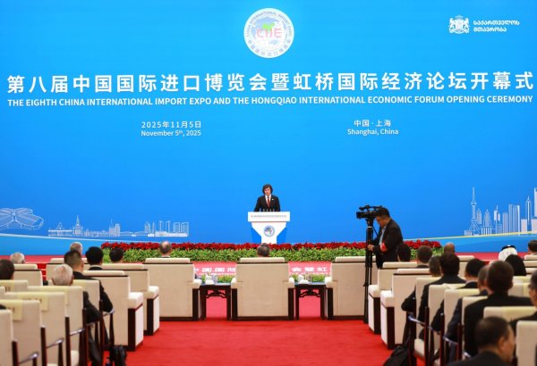 Free trade deal boosts Georgia-China economic relations, says PM