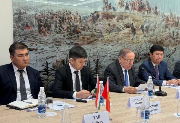 Hungarian-Kyrgyz forum explores joint projects in food processing sector