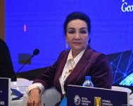 Int'l scientific and practical conference winds down in Azerbaijan's Baku (PHOTO)