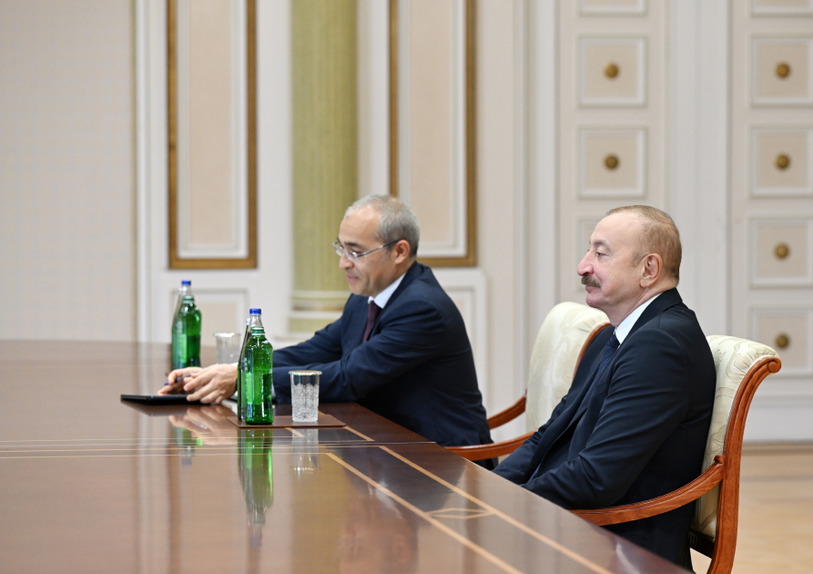 President Ilham Aliyev receives delegation of heads of member institutions of Arab Coordination Group (PHOTO/VIDEO)