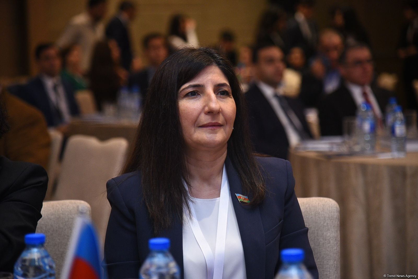 Azerbaijan's Baku rolls out international scientific-practical conference (PHOTO)