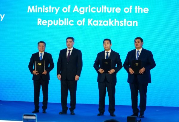 Polish company to build greenhouse complex in Kazakhstan’s Kyzylorda