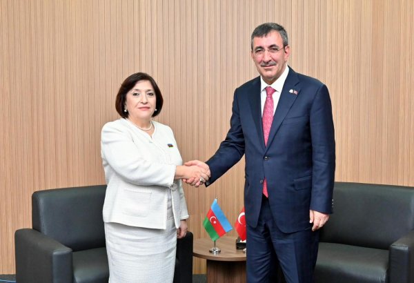 Speaker of Milli Majlis Sahiba Gafarova meets with VP of Republic of Türkiye Cevdet Yılmaz (PHOTO)