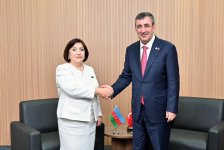 Speaker of Milli Majlis Sahiba Gafarova meets with VP of Republic of Türkiye Cevdet Yılmaz (PHOTO)