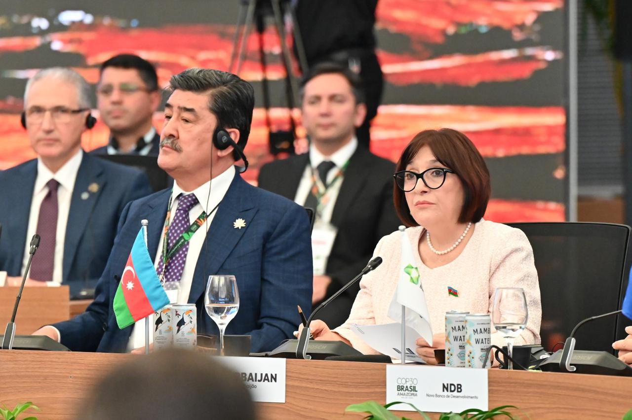 Azerbaijani parliament speaker addresses COP30 "Energy Transition" thematic session (PHOTO)