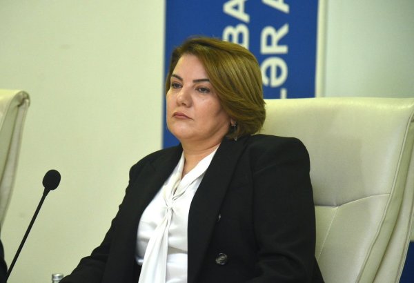 APA chief stresses necessity to harness AI for Azerbaijani language verification