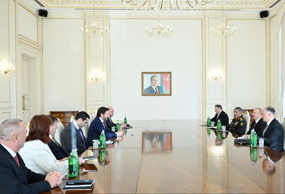 President Ilham Aliyev receives delegation led by Deputy Prime Minister of Slovakia (PHOTO/VIDEO)