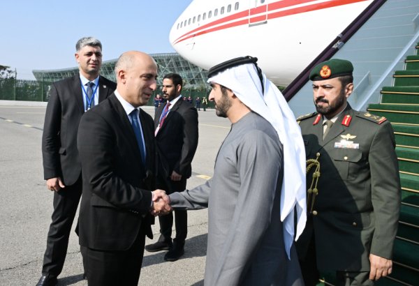 Deputy prime minister of UAE visits Azerbaijan (PHOTO)