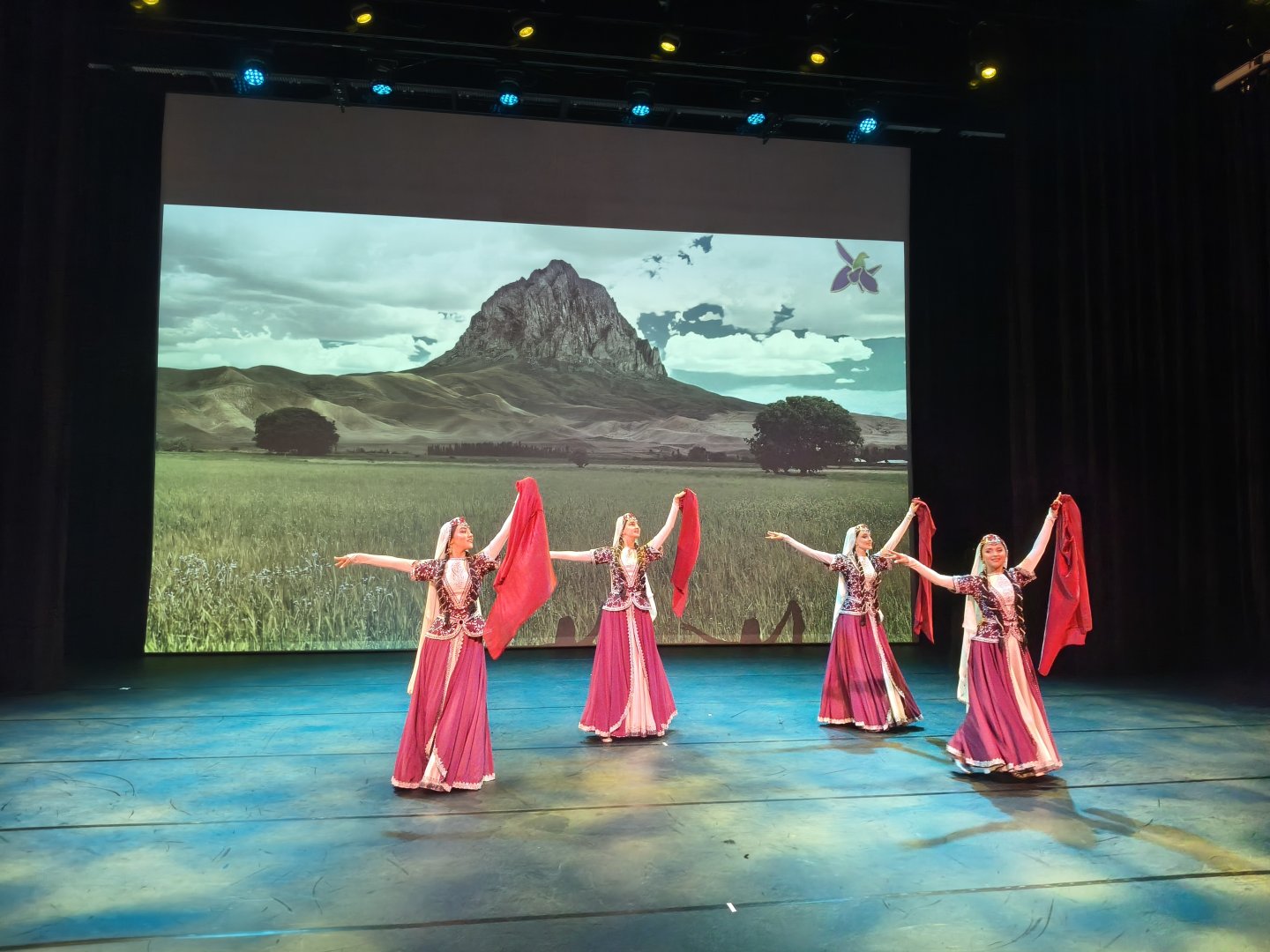 Netherlands hosts enthusiastic celebration for Azerbaijan's Victory Day (PHOTO)